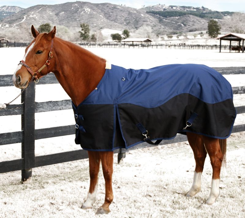 Wrangler 1200D Heavy Weight Turnout Blanket