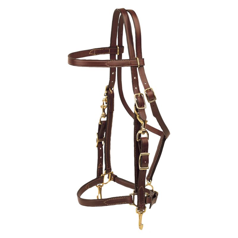 Tory Halter Bridle Combo Oversized Black