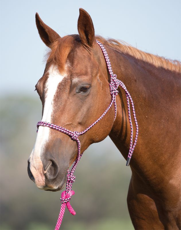 Mustang Rope Halter with Lead Orange/Lime/White