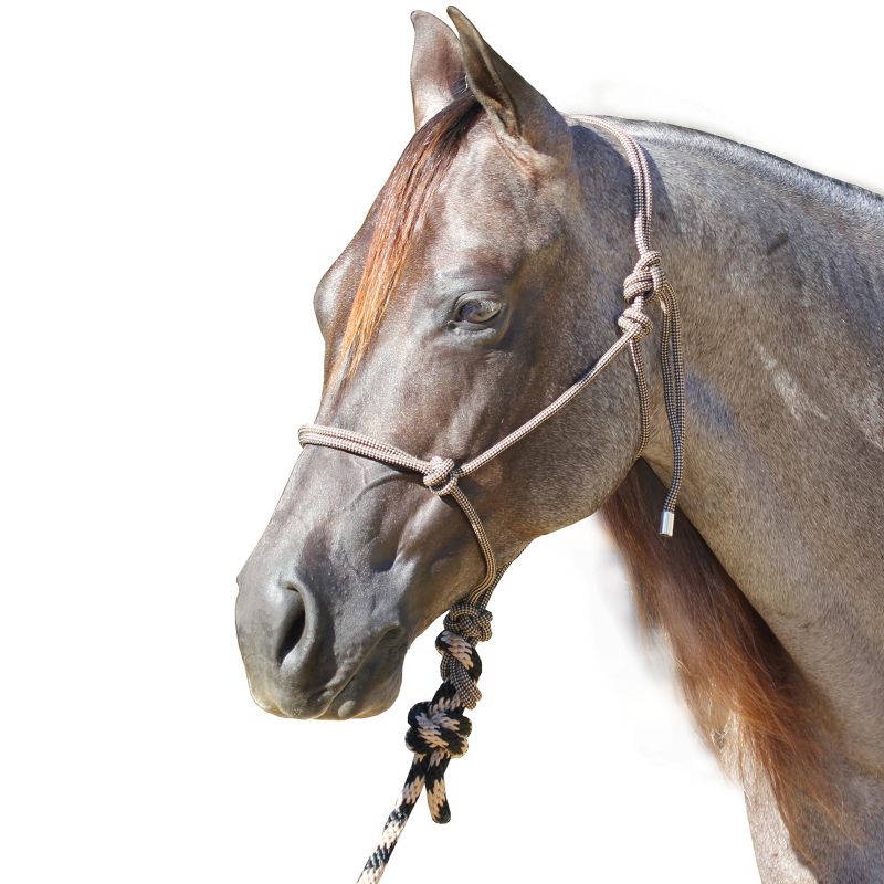 Professionals Choice Rope Halter with Lead Purple/