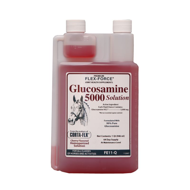 Flex-Force Glucosamine 5000 Solution