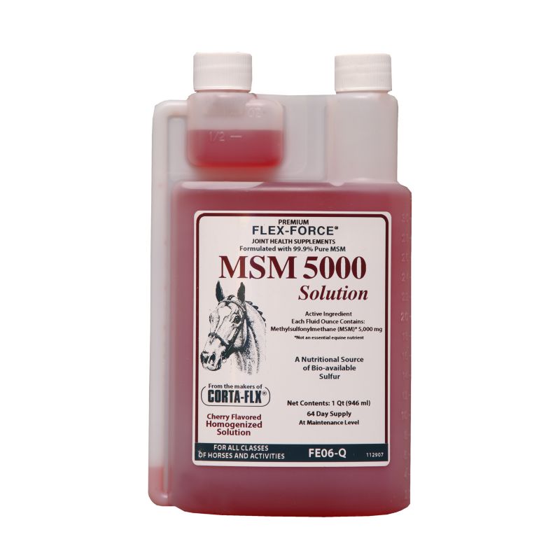 CORTA-FLX Flex-Force MSM 5000 Solution