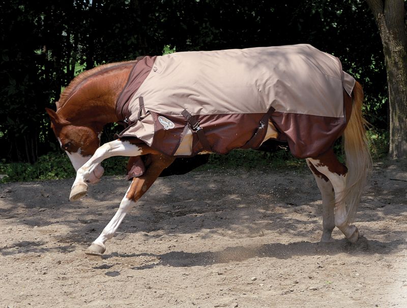 Tough-1 2100 Denier Turnout Blanket