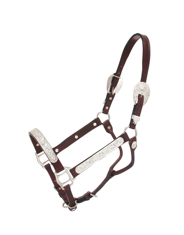 Royal King Raised Oval Show Halter