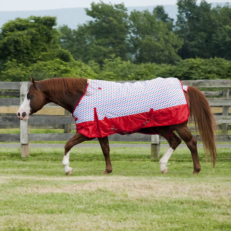 Professionals Choice 600D Stars Turnout Blanket