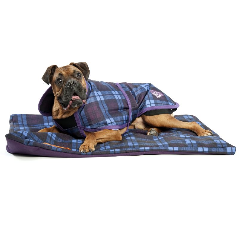 Saxon 1200D Deluxe Dog Blanket