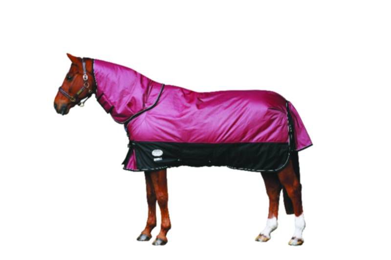 Weatherbeeta Apex Detatch-A-Neck T/O Blanket