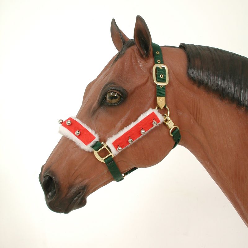 Holiday Horse Halter Bridle Set