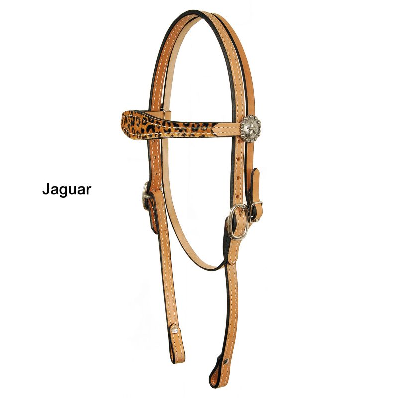 American Saddlery Star Concho Headstall