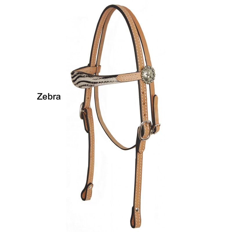 American Saddlery Star Concho Headstall Zebra Best Price