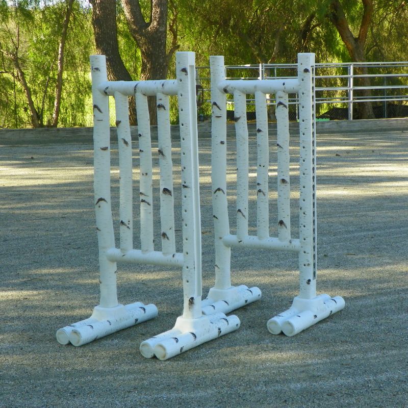 Burlingham Birch Jump Standards