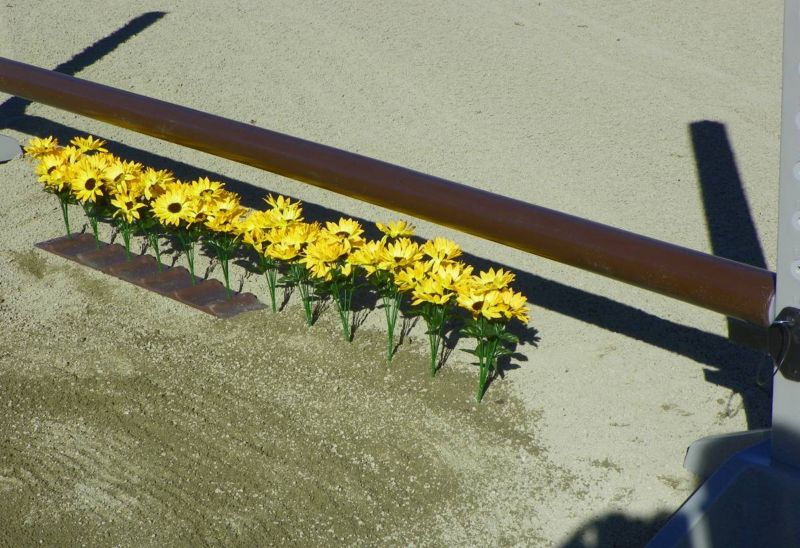 Burlingham Flower Strip