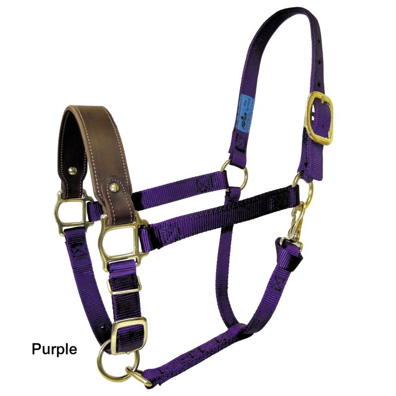 Fabtron Trail Nose Nylon Halter w/Snap