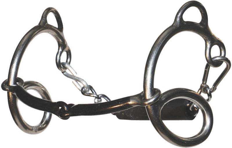 Sharon Camarillo Snaffle Sweet Six Bit