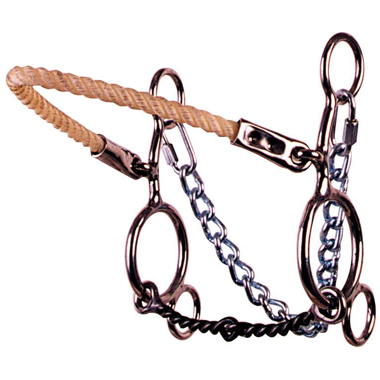 Reisnman Hodges Futurity Twisted Hackamore