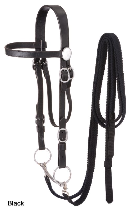 Royal King Draft Headstall Set