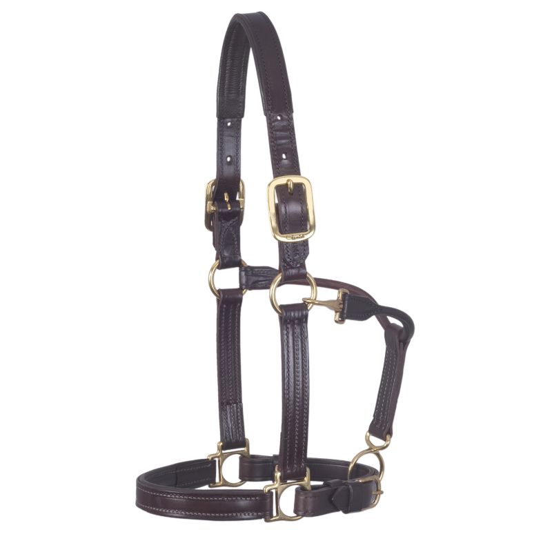 Walsh Lexington Padded Leather Halter
