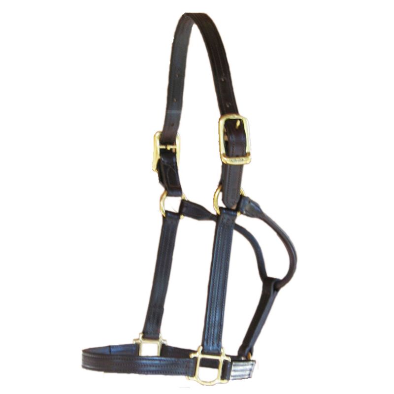 Walsh Thoroughbred Leather Halter
