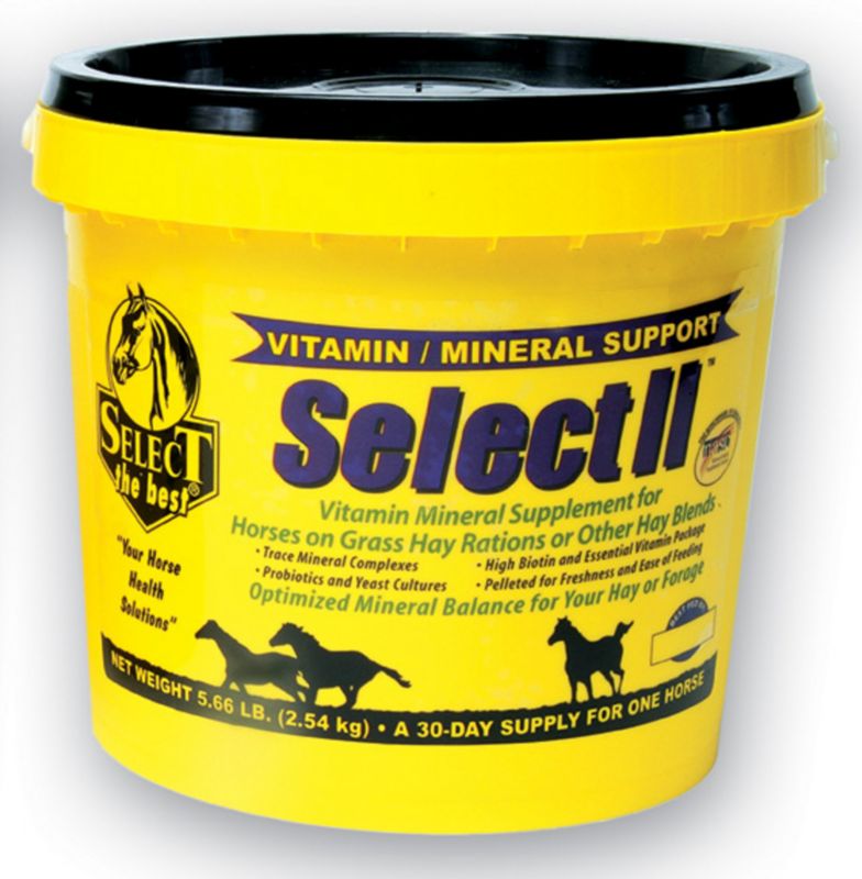 Select the Best Select II