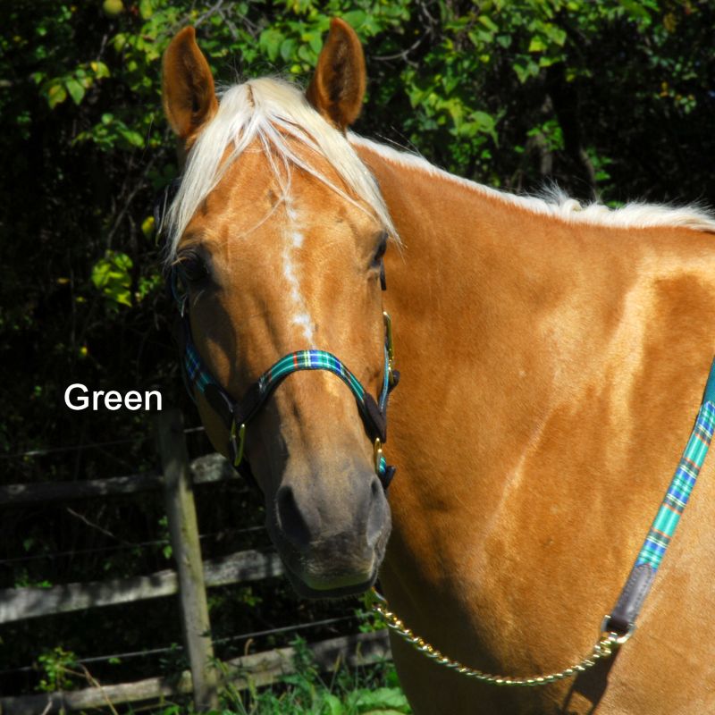Plaid Leather and Nylon Adj Halter w/Snap Sml Grn