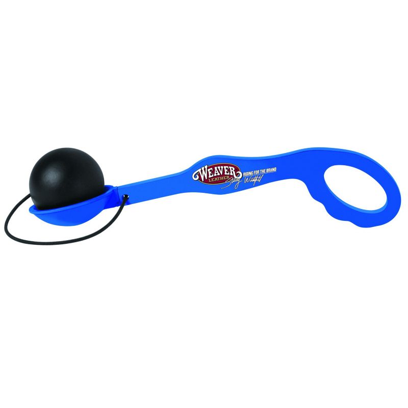 Stacy Westfall Egg and Spoon Balance Training Tool