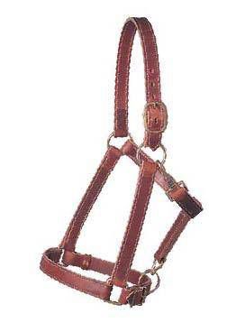 Weaver Leather Draft Horse Halter