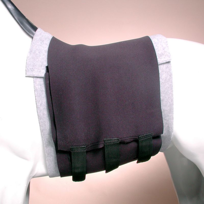 Tough-1 Miniature Horse Neoprene Belly Sweat