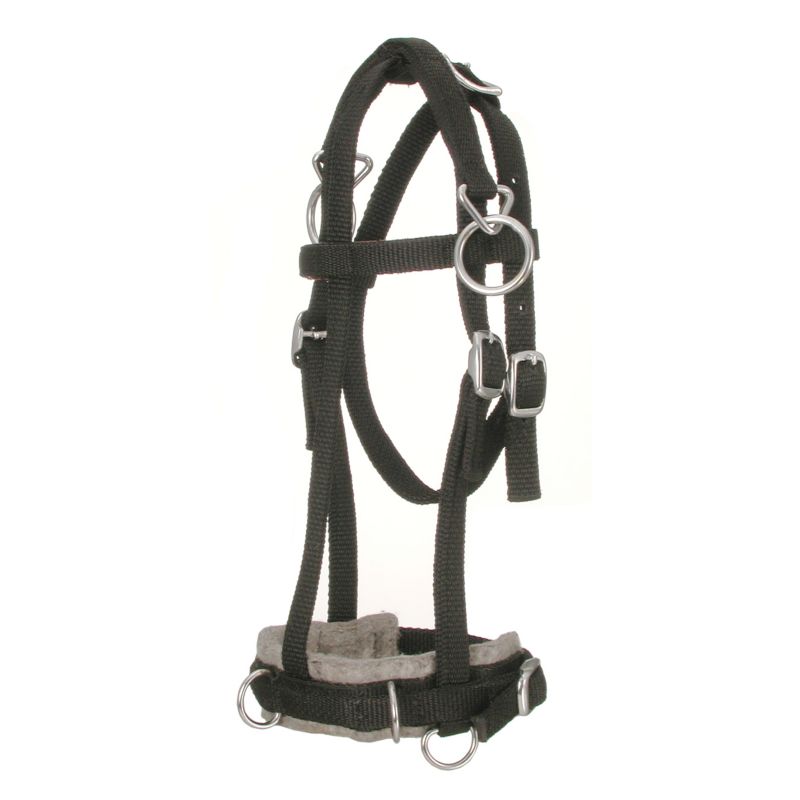 Tough-1 Miniature Horse Nylon Training Caveson
