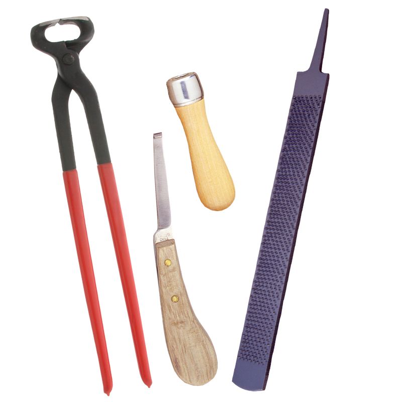 Farrier Hoof Trim Tool Kit 4 Piece Best Price