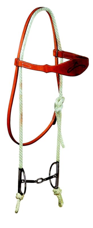Reinsman Sharon Camarillo Browband Gag Bridle Set
