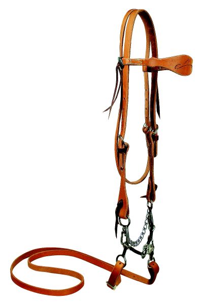 Reinsman Sharon Camarillo Tender Headstall Set