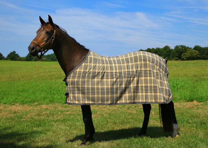 Baker Dress Sheet 68 Original Plaid Best Price