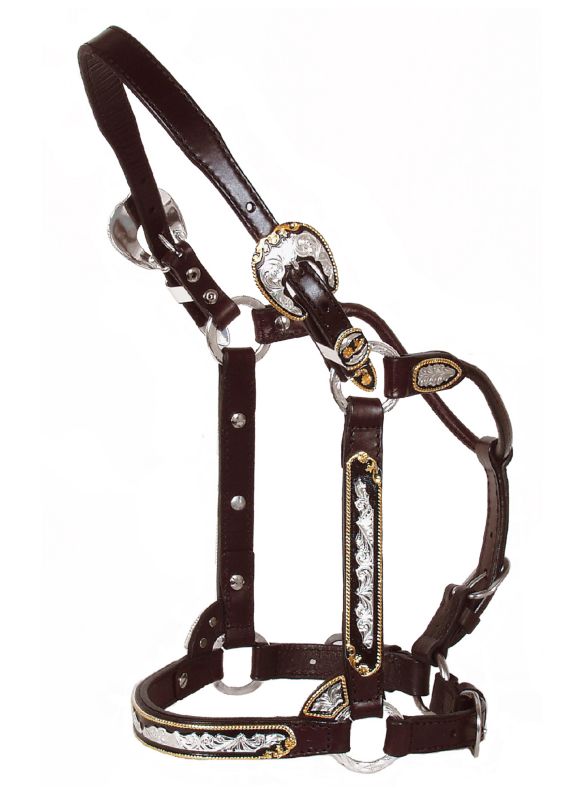 Circle Y Gold Rope Show Halter