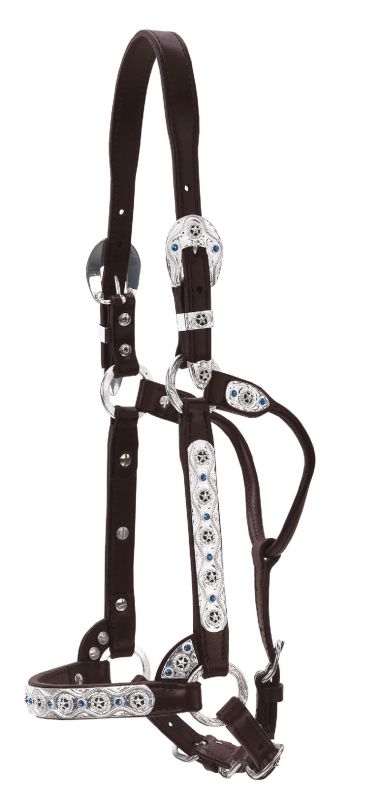 Circle Y Stars  And Blue Stone Show Halter