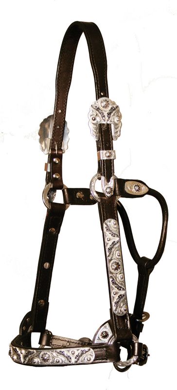 Circle Y Antique Black Stars Show Halter