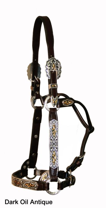 Circle Y Black Gold Filagree Show Halter Hrse Antq Best Price