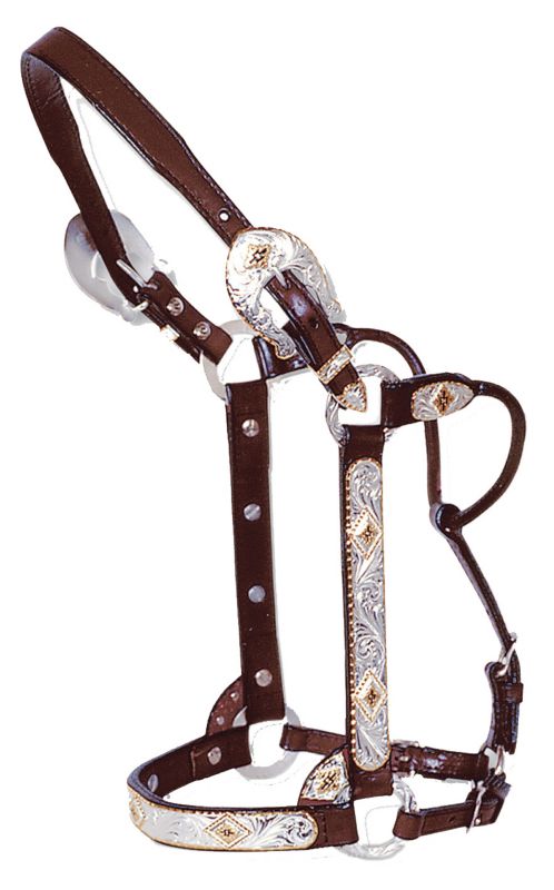 Circle Y Gold And Black Diamond Show Halter Horse