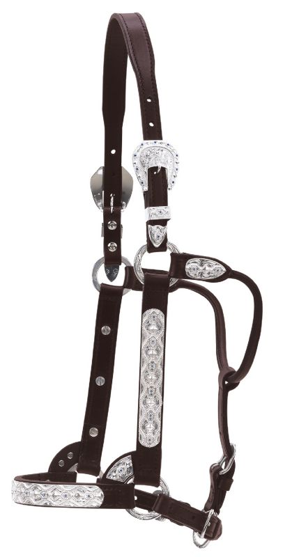Circle Y Flowers  And Blue Stones Show Halter