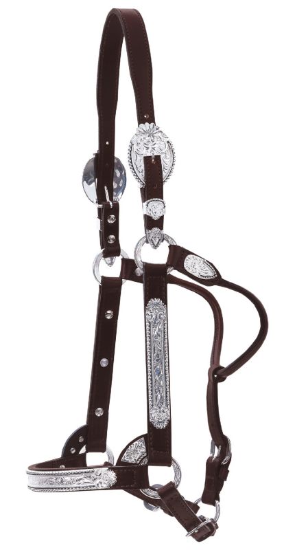 Circle Y Black Bead Fancy Scallop Show Halter Hrse Best Price