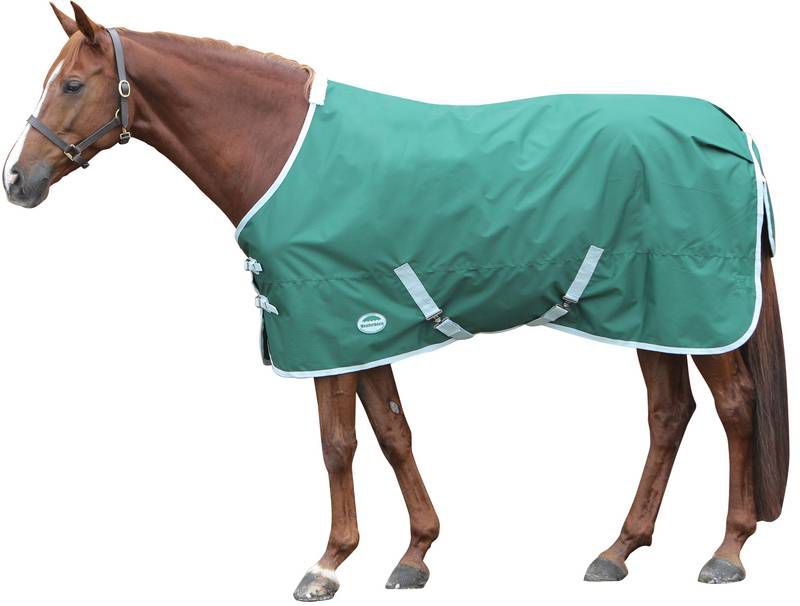 Weatherbeeta Genero Turnout Sheet