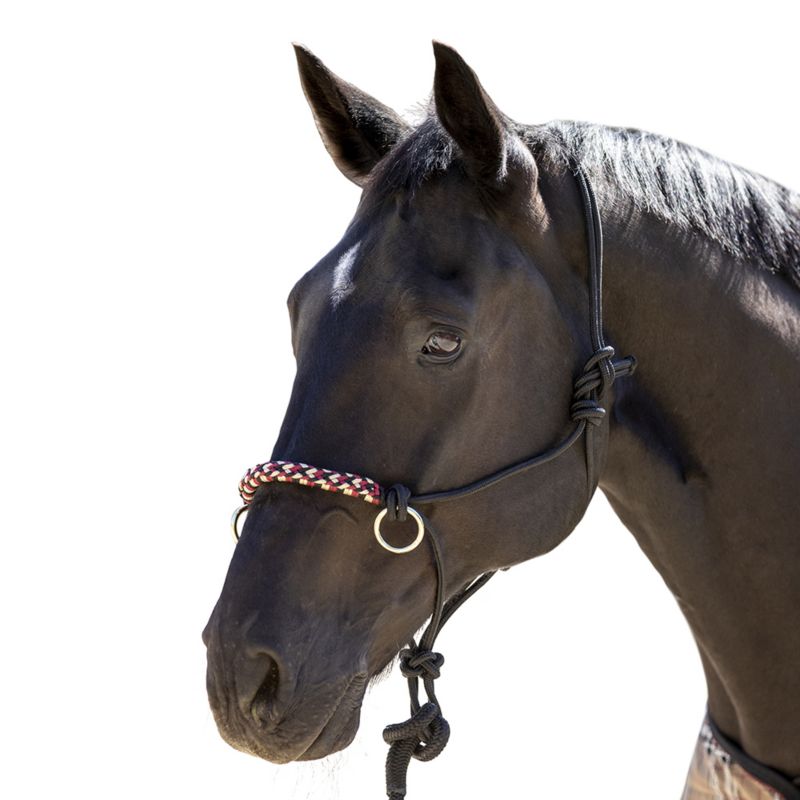 Kensington Side Pull Rope Training Halter