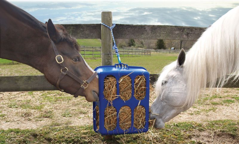 Health EZ Hay Feeder