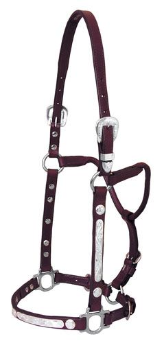 Tex Tan Silver Bar Show Halter