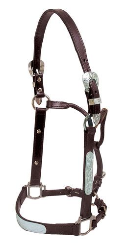 Tex Tan Silver Show Halter