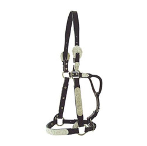 Tex Tan Rose Silver Show Halter
