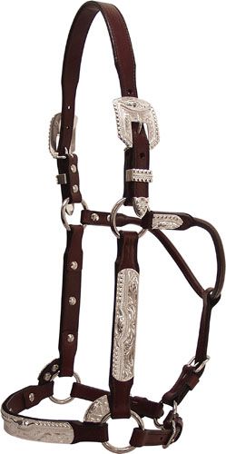 Tex Tan Sextagonel bead Silver Show Halter