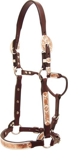 Tex Tan Copper Overlay Silver Show Halter