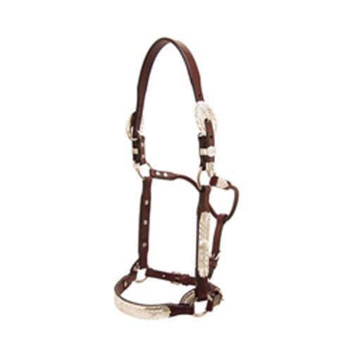 Tex Tan Broken Line Silver Show Halter