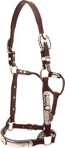 Tex Tan Broken Wave Silver Show Halter