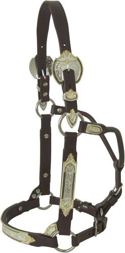 Tex Tan Supreme Silver Show Halter